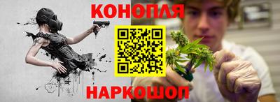 крисы Будённовск