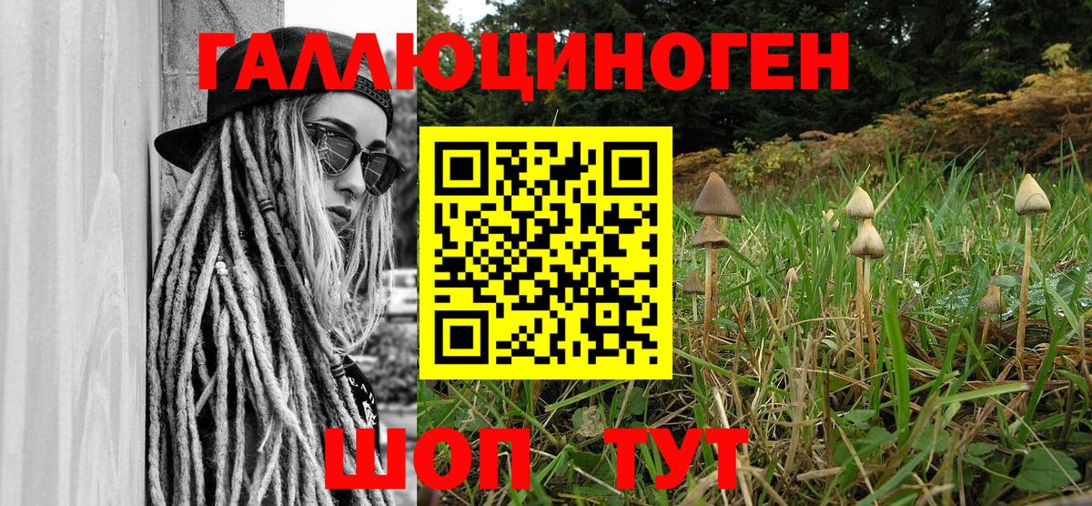 цены   Вход с VPN  Псилоцибиновые грибы Psilocybine cubensis  Ирбит  Псилоцибиновые грибы ЛСД 